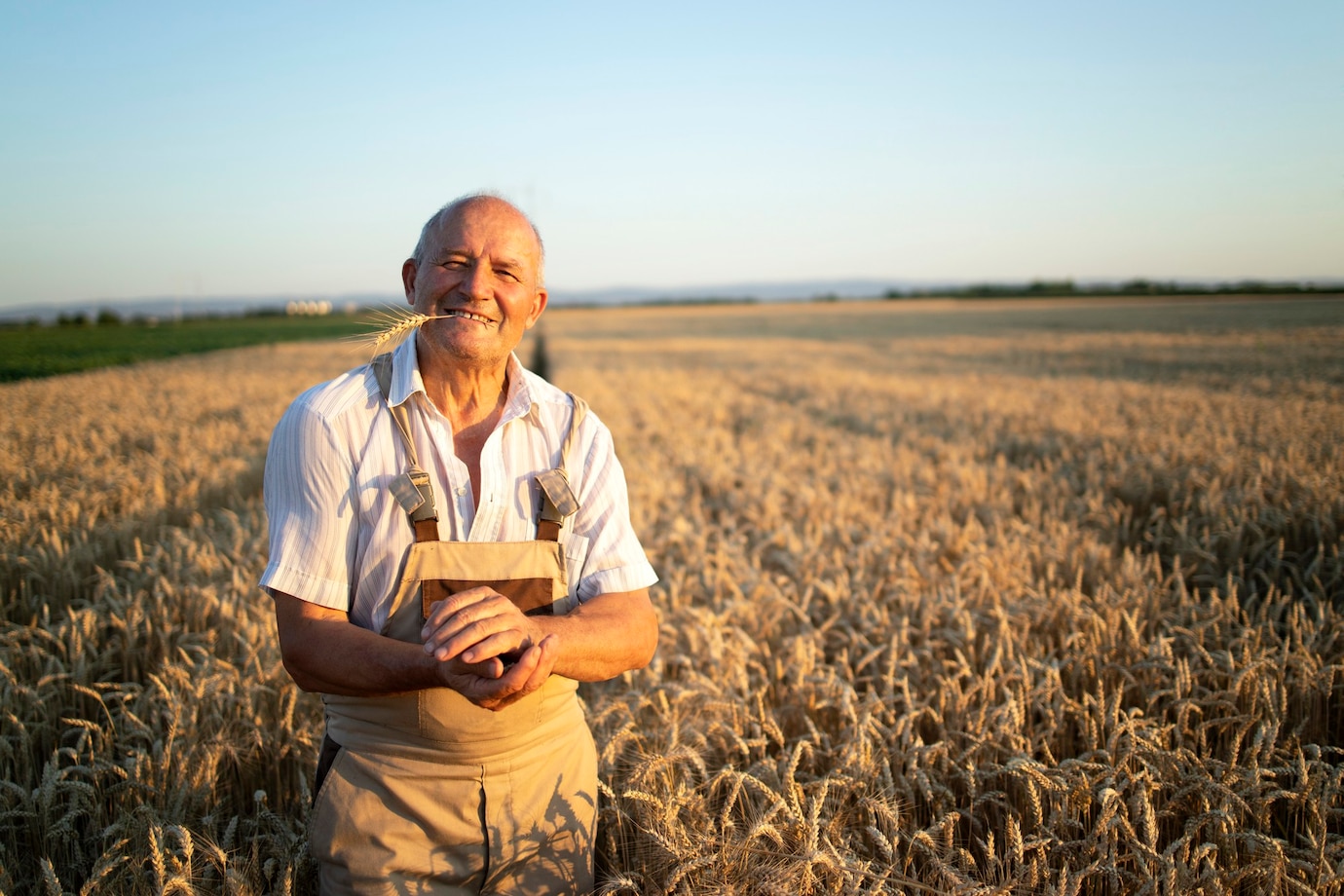 retrato exitoso agronomo agricultor senior pie campo trigo 342744 1250